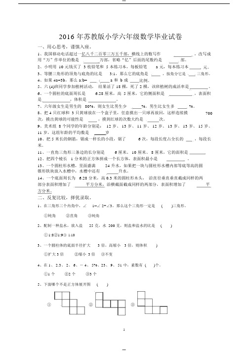 (完整)2017年苏教版小学六年级数学毕业试卷及答案,推荐文档