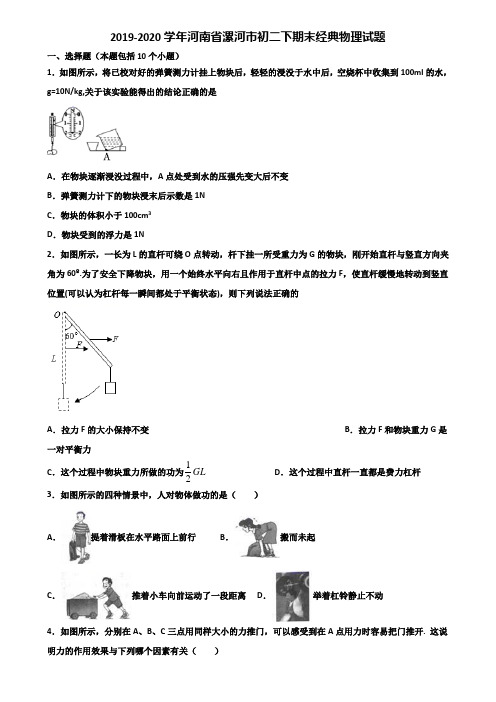 2019-2020学年河南省漯河市初二下期末经典物理试题含解析