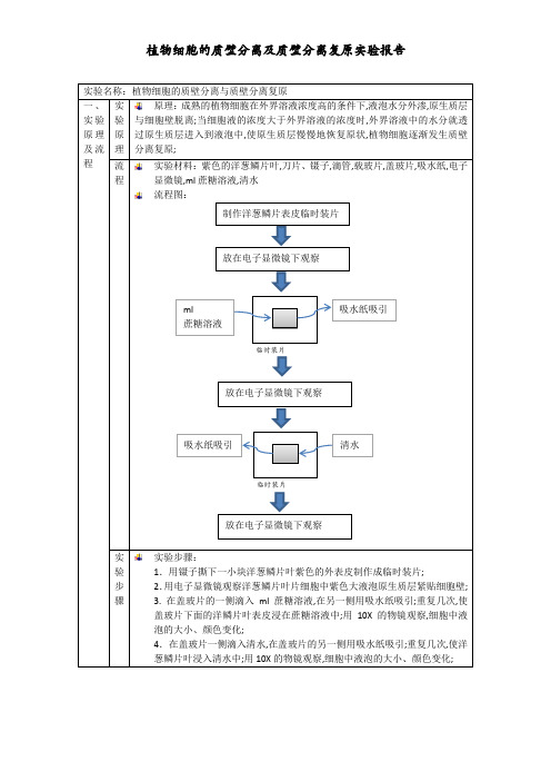 质壁分离实验报告