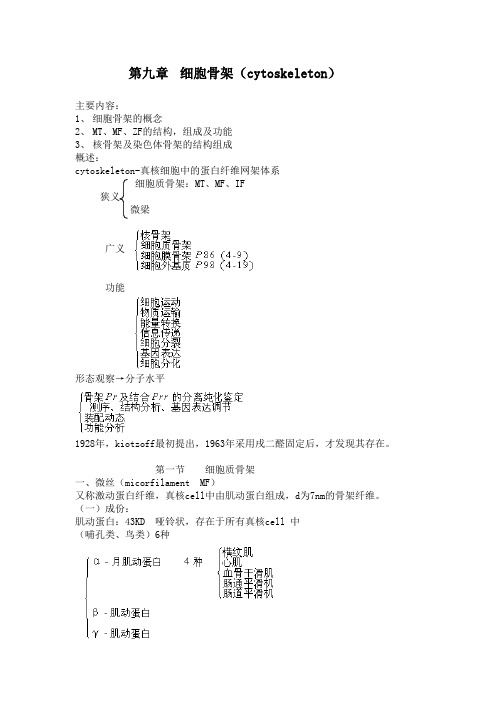 细胞骨架cytoskeleton