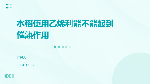 水稻使用乙烯利能不能起到催熟作用