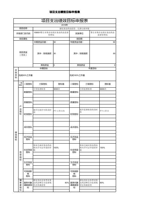 项目支出绩效目标申报表(1)