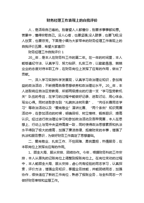 财务经理工作表现上的自我评价