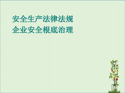 安全生产法律法规培训讲义资料