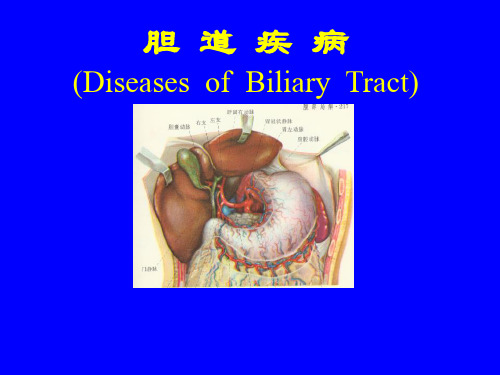 胆道疾病-精品医学课件