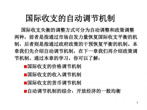 国际收支的自动调节机制.ppt