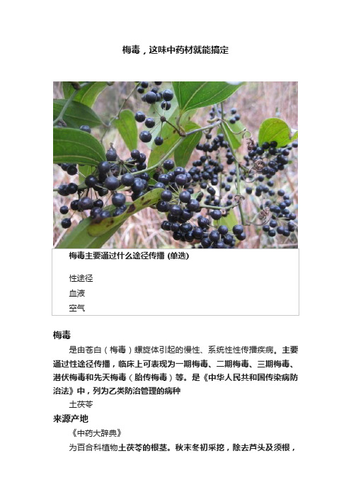 梅毒，这味中药材就能搞定