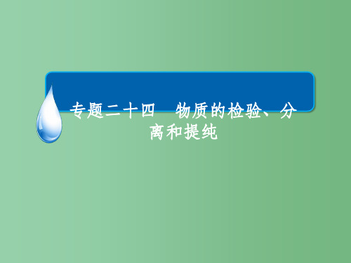 高考化学一轮复习 专题二十四 物质的检验、分离和提纯 考点1 物质的检验课件