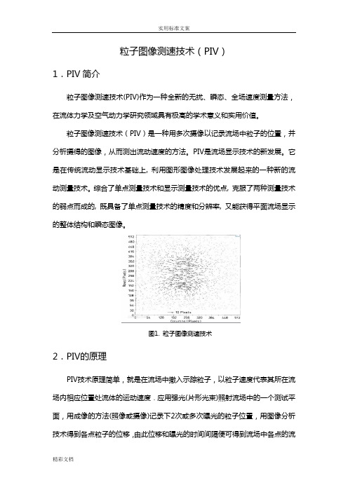 粒子图像测速技术