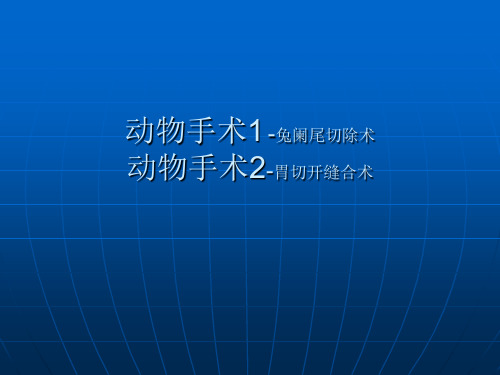 动物手术1 -兔阑尾切除术 动物手术2-胃切开缝合术