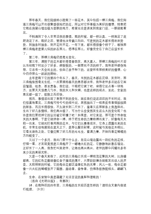 刘成章《三角梅》初中散文阅读题阅读附答案