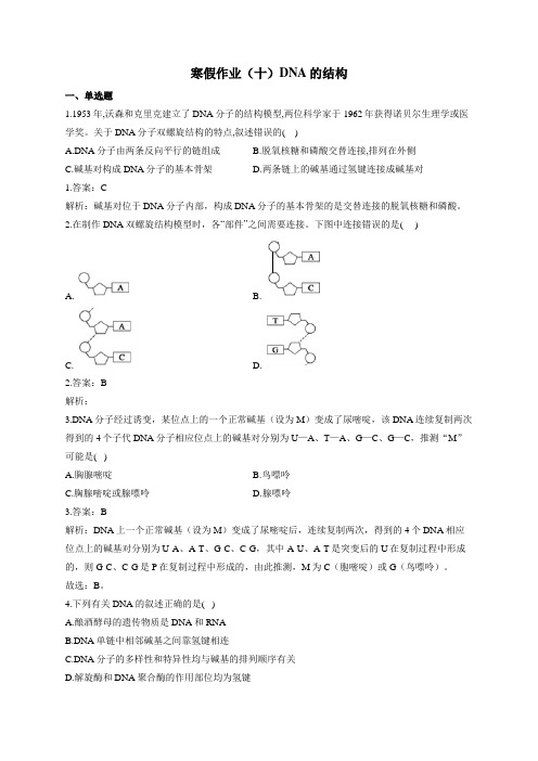 2021年高中生物必修二(2019人教版)寒假作业十(解析版)