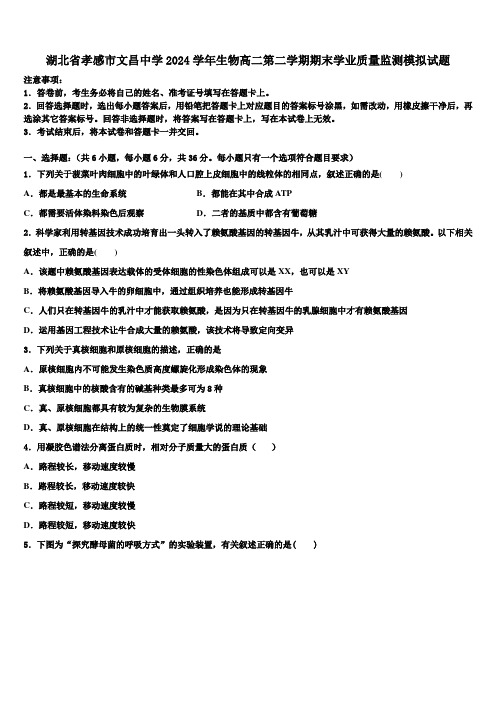 湖北省孝感市文昌中学2024学年生物高二第二学期期末学业质量监测模拟试题(含解析)