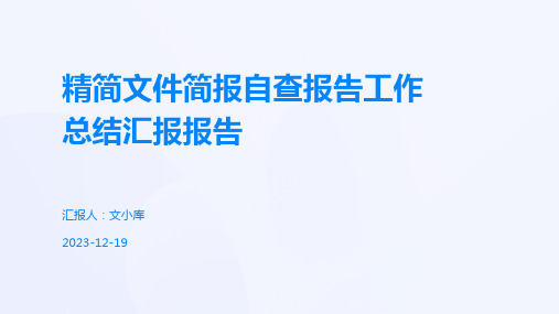 精简文件简报自查报告工作总结汇报报告