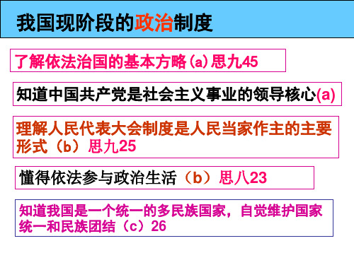 复习我国现阶段的政治制度ppt