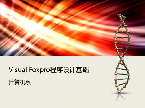 计算机二级vfp 第二章 Visual Foxpro程序基础