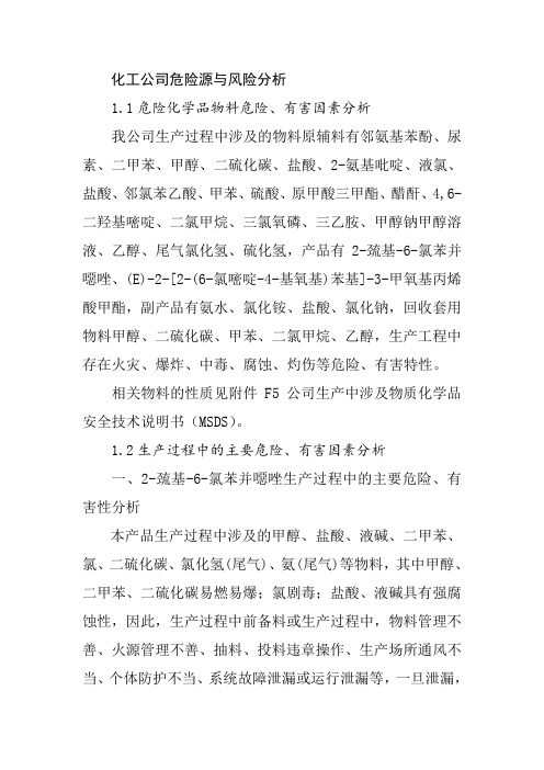 化工公司危险源与风险分析