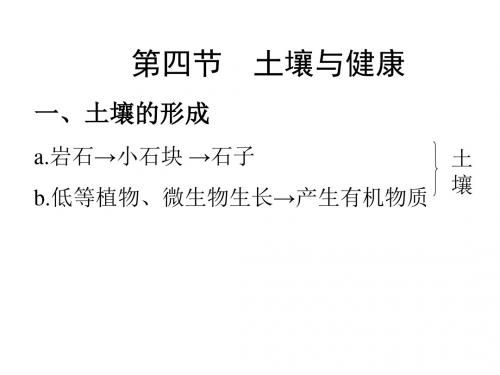 (2019版)九年级科学土壤与健康3