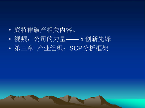 2021年第三章产业组织SCP分析框架PPT文档