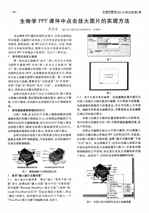 生物学PPT课件中点击放大图片的实现方法