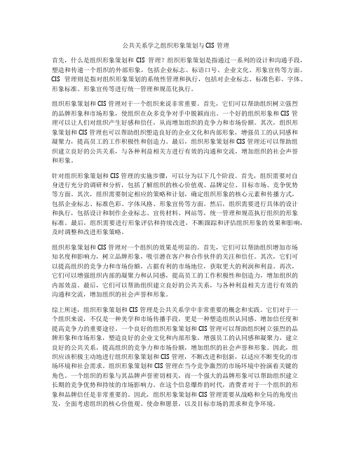 公共关系学之组织形象策划与CIS管理