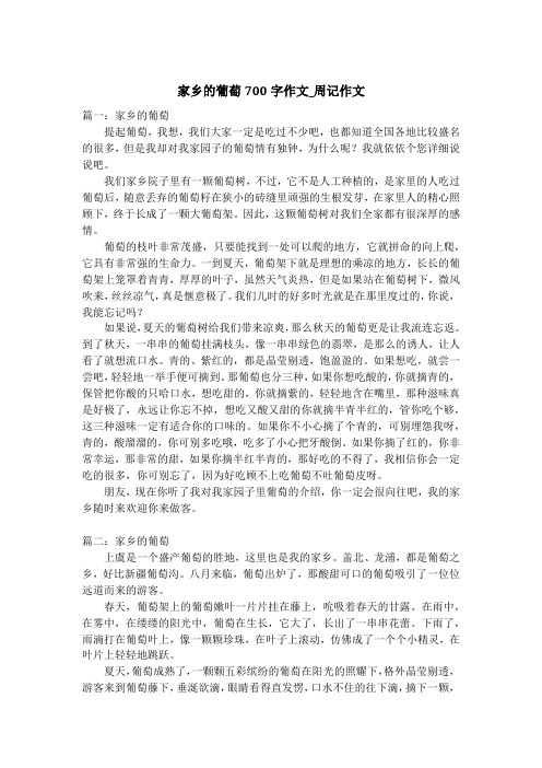 家乡的葡萄700字作文_周记作文