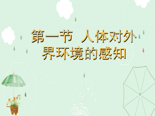 人体对外界环境的感知ppt42 人教版