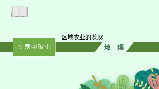 2025届高三一轮复习地理课件：区域农业的发展