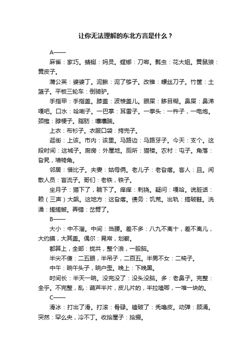 让你无法理解的东北方言是什么？