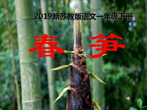 2019新苏教版语文一年级下册春笋-课件