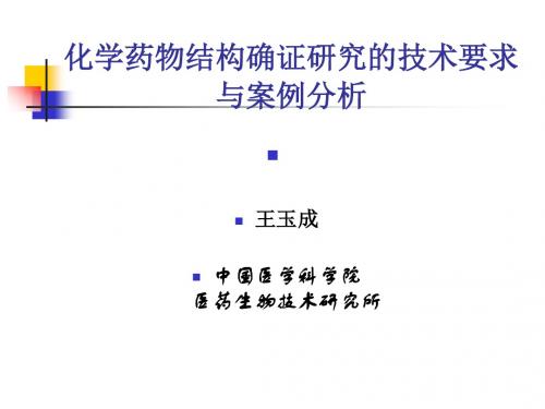 化学药物结构确证研究的技术要求与案例分析--王玉成-文档资料