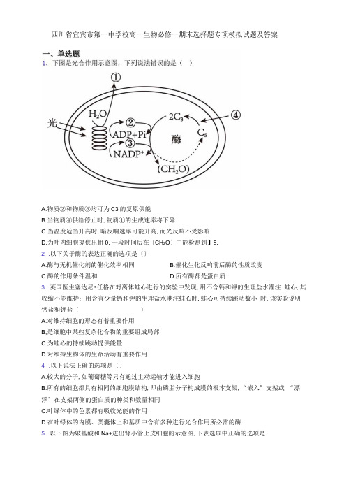 四川省宜宾市第一中学校高一生物必修一期末选择题专项模拟试题及答案