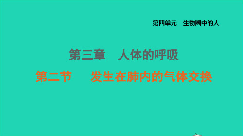 七年级生物上册第四单元生物圈中的人第三章人体的呼吸第2节发生在肺内的气体交换课件鲁科版五四制