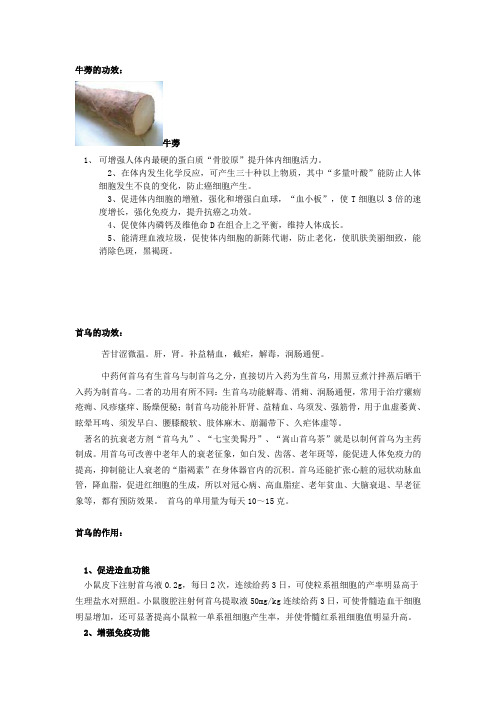 牛蒡的功效