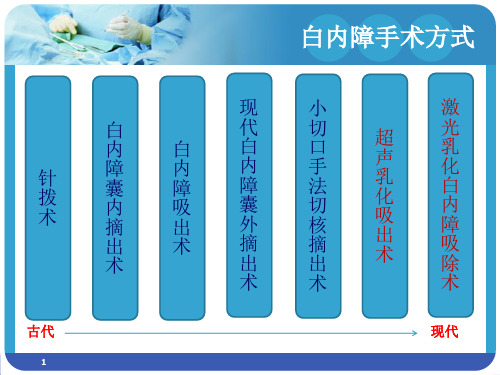 白内障手术方式PPT课件