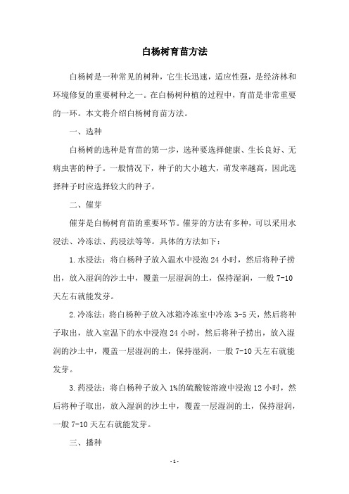 白杨树育苗方法