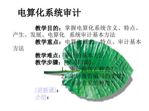 电算化系统审计1