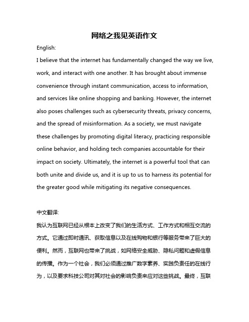 网络之我见英语作文