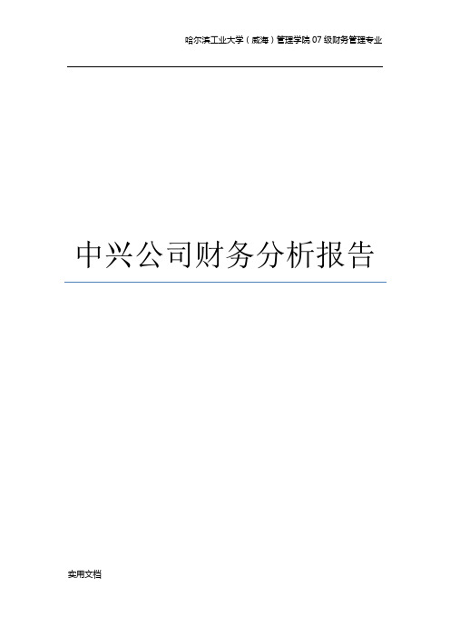 中兴公司财务分析