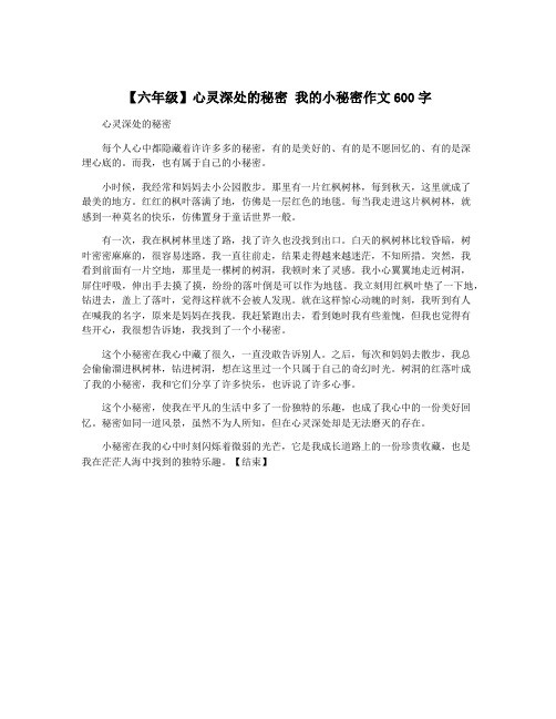 【六年级】心灵深处的秘密 我的小秘密作文600字