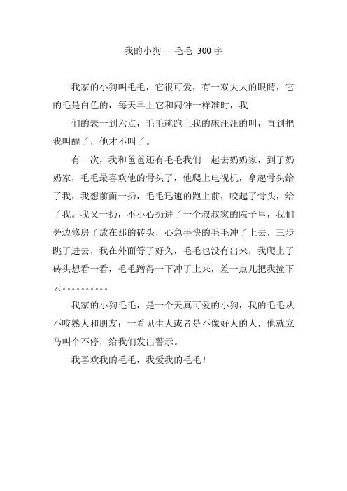 我的小狗----毛毛_300字