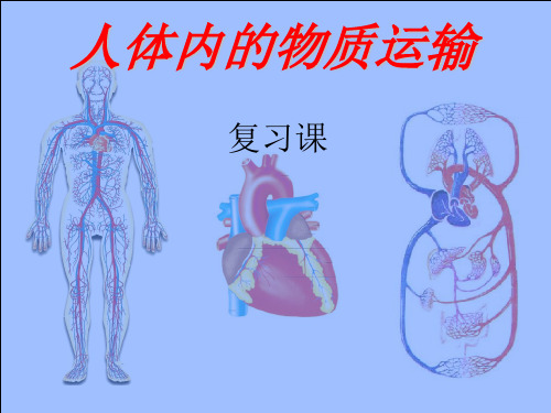 最后复习第四章《人体内物质的运输》复习课