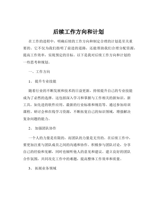 后续工作方向和计划