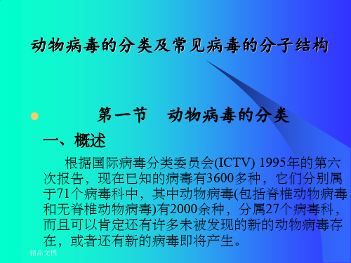 动物病毒的分类及常见病毒的分子结构