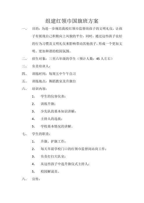 组建红领巾国旗班方案1