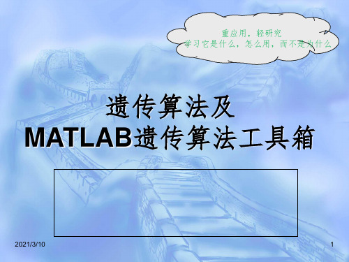 精心遗传算法及matlab实现课件PPT