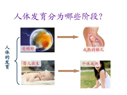5-2__健康度过青春期