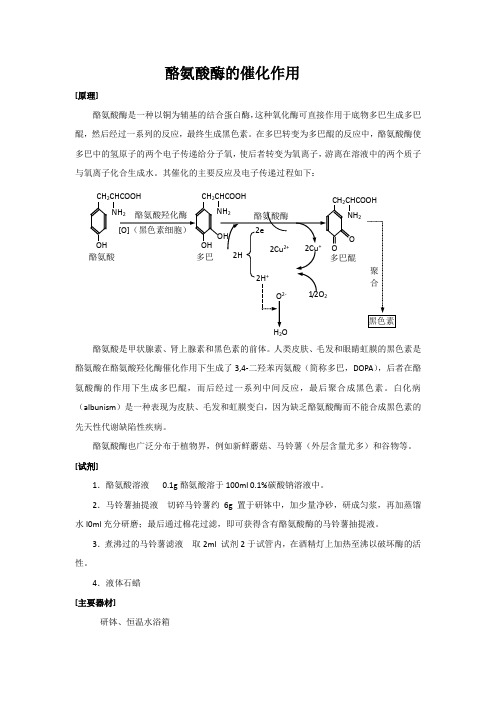 酪氨酸酶的催化作用