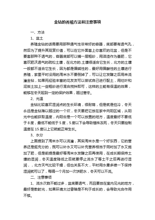 金钻的养殖方法和注意事项