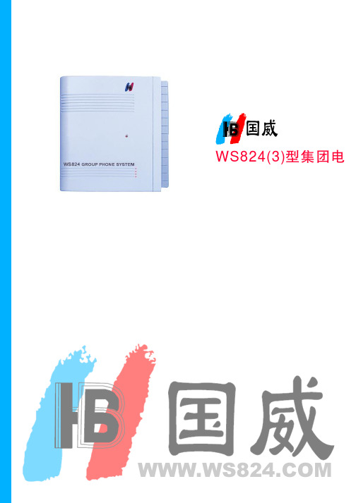 国威WS824(3)型说明书